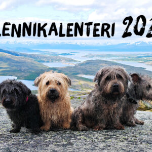 Glennikalenteri 2026